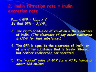Pinulin x GFR = Uinulin x V
So that GFR = UinV/Pin
3. The right-hand-side of equation = the clearance
of inulin. (The clearance of any other substance
is UV/P for that substance.)
4. The GFR is equal to the clearance of inulin, or
of any other substance that is freely filtered,
but neither reabsorbed nor secreted.
5. The "normal" value of GFR for a 70 kg human is
about 125 ml/min.
2. inulin filtration rate = inulin
excretion rate
 
