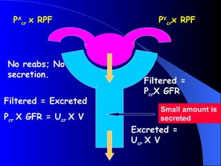 PA
cr x RPF PV
crx RPF
Filtered =
PcrX GFR
Excreted =
Ucr X V
Filtered = Excreted
Pcr X GFR = Ucr X V
No reabs; No
secretion.
Small amount is
secreted
 