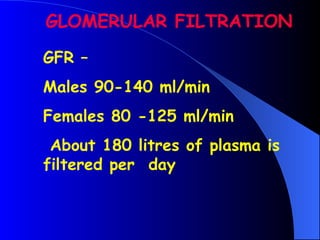 GFR –
Males 90-140 ml/min
Females 80 -125 ml/min
About 180 litres of plasma is
filtered per day
GLOMERULAR FILTRATION
 
