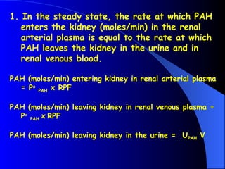 1. In the steady state, the rate at which PAH
enters the kidney (moles/min) in the renal
arterial plasma is equal to the rate at which
PAH leaves the kidney in the urine and in
renal venous blood.
PAH (moles/min) entering kidney in renal arterial plasma
= Pa
PAH x RPF
PAH (moles/min) leaving kidney in renal venous plasma =
Pv
PAH x RPF
PAH (moles/min) leaving kidney in the urine = UPAH V
 