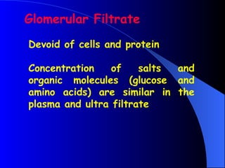 Glomerular Filtrate
Devoid of cells and protein
Concentration of salts and
organic molecules (glucose and
amino acids) are similar in the
plasma and ultra filtrate
 