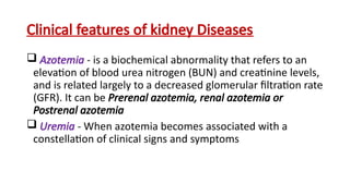 Comprehensive Overview of Renal Pathology and Kidney Diseases | PPTX