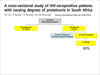 The Kidney and HIV