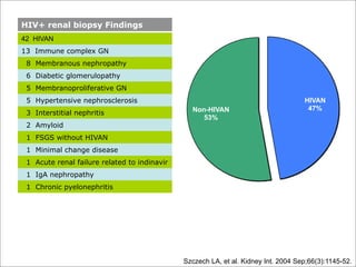 The Kidney and HIV