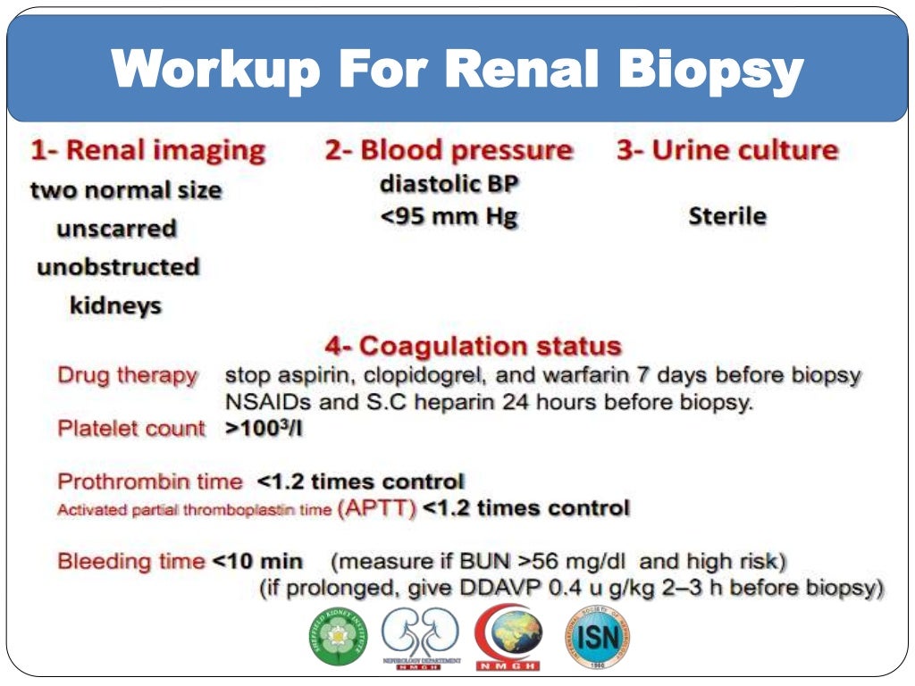 Renal biopsy
