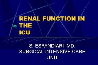 RENAL FUNCTION IN THE  ICU S. ESFANDIARI  MD, SURGICAL INTENSIVE CARE UNIT 
