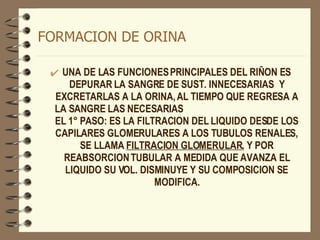 FORMACION DE ORINA UNA DE LAS FUNCIONES PRINCIPALES DEL RIÑON ES DEPURAR LA SANGRE DE SUST. INNECESARIAS  Y EXCRETARLAS A LA ORINA, AL TIEMPO QUE REGRESA A LA SANGRE LAS NECESARIAS  EL 1° PASO: ES LA FILTRACION DEL LIQUIDO DESDE LOS CAPILARES GLOMERULARES A LOS TUBULOS RENALES, SE LLAMA  FILTRACION GLOMERULAR , Y POR REABSORCION TUBULAR A MEDIDA QUE AVANZA EL LIQUIDO SU VOL. DISMINUYE Y SU COMPOSICION SE MODIFICA. 
