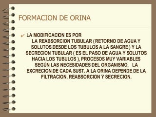 FORMACION DE ORINA LA MODIFICACION ES POR  LA REABSORCION TUBULAR ( RETORNO DE AGUA Y SOLUTOS DESDE LOS TUBULOS A LA SANGRE ) Y LA SECRECION TUBULAR ( ES EL PASO DE AGUA Y SOLUTOS HACIA LOS TUBULOS ), PROCESOS MUY VARIABLES SEGÚN LAS NECESIDADES DEL ORGANISMO.  LA EXCRECION DE CADA SUST. A LA ORINA DEPENDE DE LA FILTRACION, REABSORCION Y SECRECION. 