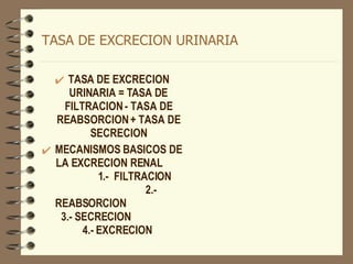TASA DE EXCRECION URINARIA TASA DE EXCRECION URINARIA = TASA DE FILTRACION - TASA DE REABSORCION + TASA DE SECRECION MECANISMOS BASICOS DE LA EXCRECION RENAL  1.-  FILTRACION  2.- REABSORCION  3.- SECRECION  4.- EXCRECION  