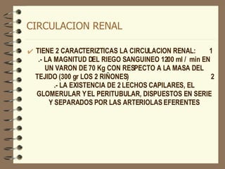 CIRCULACION RENAL TIENE 2 CARACTERIZTICAS LA CIRCULACION RENAL:  1 .- LA MAGNITUD DEL RIEGO SANGUINEO 1200 ml /  min EN UN VARON DE 70 Kg CON RESPECTO A LA MASA DEL TEJIDO (300 gr LOS 2 RIÑONES)  2 .- LA EXISTENCIA DE 2 LECHOS CAPILARES, EL GLOMERULAR Y EL PERITUBULAR, DISPUESTOS EN SERIE Y SEPARADOS POR LAS ARTERIOLAS EFERENTES 