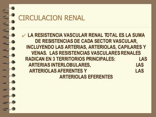 CIRCULACION RENAL LA RESISTENCIA VASCULAR RENAL TOTAL ES LA SUMA DE RESISTENCIAS DE CADA SECTOR VASCULAR, INCLUYENDO LAS ARTERIAS, ARTERIOLAS, CAPILARES Y VENAS.  LAS RESISTENCIAS VASCULARES RENALES RADICAN EN 3 TERRITORIOS PRINCIPALES:  LAS ARTERIAS INTERLOBULARES,  LAS ARTERIOLAS AFERENTES Y  LAS ARTERIOLAS EFERENTES 
