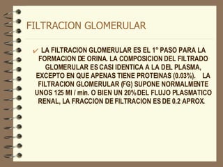 FILTRACION GLOMERULAR LA FILTRACION GLOMERULAR ES EL 1° PASO PARA LA FORMACION DE ORINA. LA COMPOSICION DEL FILTRADO GLOMERULAR ES CASI IDENTICA A LA DEL PLASMA, EXCEPTO EN QUE APENAS TIENE PROTEINAS (0.03%).  LA FILTRACION GLOMERULAR (FG) SUPONE NORMALMENTE UNOS 125 Ml / min. O BIEN UN 20% DEL FLUJO PLASMATICO RENAL, LA FRACCION DE FILTRACION ES DE 0.2 APROX.  
