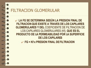 FILTRACION GLOMERULAR LA FG SE DETERMINA SEGÚN LA PRESION FINAL DE FILTRACION QUE EXISTE A TRAVES DE LOS CAPILARES GLOMERULARES Y DEL  COEFICIENTE DE FILTRACION DE LOS CAPILARES GLOMERULARES (Kf),  QUE ES EL PRODUCTO DE LA PERMEABILIDAD POR LA SUPERFICIE DE LOS CAPILARES FG = Kf x PRESION FINAL DE FILTRACION   