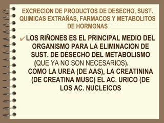EXCRECION DE PRODUCTOS DE DESECHO, SUST. QUIMICAS EXTRAÑAS, FARMACOS Y METABOLITOS DE HORMONAS LOS RIÑONES ES EL PRINCIPAL MEDIO DEL ORGANISMO PARA LA ELIMINACION DE SUST. DE DESECHO DEL METABOLISMO ( QUE YA NO SON NECESARIOS) .  COMO LA UREA (DE AAS), LA CREATININA (DE CREATINA MUSC) EL AC. URICO (DE LOS AC. NUCLEICOS 