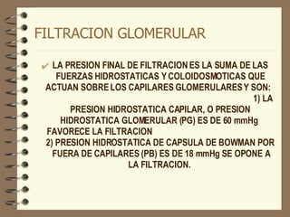 FILTRACION GLOMERULAR LA PRESION FINAL DE FILTRACION ES LA SUMA DE LAS FUERZAS HIDROSTATICAS Y COLOIDOSMOTICAS QUE ACTUAN SOBRE LOS CAPILARES GLOMERULARES Y SON:  1) LA PRESION HIDROSTATICA CAPILAR, O PRESION HIDROSTATICA GLOMERULAR (PG) ES DE 60 mmHg  FAVORECE LA FILTRACION  2) PRESION HIDROSTATICA DE CAPSULA DE BOWMAN POR  FUERA DE CAPILARES (PB) ES DE 18 mmHg SE OPONE A LA FILTRACION.  