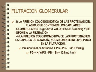 FILTRACION GLOMERULAR 3) LA PRESION COLOIDOSMOTICA DE LAS PROTEINAS DEL PLASMA QUE CONTIENEN LOS CAPILARES GLOMERULARES  (Ug) CUYO VALOR ES DE 33 mmHg Y SE OPONE A LA FILTRACION  4) LA PRESION COLOIDOSMOTICA DE LAS PROTEINAS EN LA CAPSULA DE BOWMAN, NORMALMENTE INFLUYE POCO EN LA FILTRACION. Presion final de filtracion = PG - PB -  G=10 mmHg FG = Kf x(PG - PB -  B) = 125 mL / min 