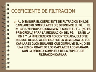 COEFICIENTE DE FILTRACION AL DISMINUIR EL COEFICIENTE DE FILTRACION EN LOS CAPILARES GLOMERULARES (Kf) DESCIENDE EL FG.  EL Kf  INFLUYE PROPORCIONALMENTE SOBRE EL FG,  (NO ES PRIMORDIAL) PARA LA REGULACION DEL FG,  EJ: EN LA DM II Y LA HIPERTENSION NO CONTROLADA, EL FG SE REDUCE, DEBIDO AL ESPESOR DE LA MEMBRANA DE LOS CAPILARES GLOMERULARES QUE DISMINUYE EL Kf, O EN UNA LESION GRAVE DE LOS CAPILARES ACOMPAÑADA CON LA PERDIDA COMPLETA DE LA SUPERF. DE FILTRACION CAPILAR  