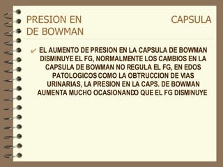 PRESION EN  CAPSULA DE BOWMAN EL AUMENTO DE PRESION EN LA CAPSULA DE BOWMAN DISMINUYE EL FG, NORMALMENTE LOS CAMBIOS EN LA CAPSULA DE BOWMAN NO REGULA EL FG, EN EDOS PATOLOGICOS COMO LA OBTRUCCION DE VIAS URINARIAS, LA PRESION EN LA CAPS. DE BOWMAN AUMENTA MUCHO OCASIONANDO QUE EL FG DISMINUYE  
