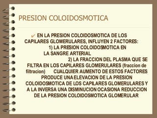 PRESION COLOIDOSMOTICA EN LA PRESION COLOIDOSMOTICA DE LOS  CAPILARES GLOMERULARES, INFLUYEN 2 FACTORES:  1) LA PRESION COLOIDOSMOTICA EN  LA SANGRE ARTERIAL  2) LA FRACCION DEL PLASMA QUE SE FILTRA EN LOS CAPILARES GLOMERULARES (fraccion de filtracion)  CUALQUIER AUMENTO DE ESTOS FACTORES PRODUCE UNA ELEVACION DE LA PRESION COLOIDOSMOTICA DE LOS CAPILARES GLOMERULARES Y A LA INVERSA UNA DISMINUCION OCASIONA REDUCCION DE LA PRESION COLOIDOSMOTICA GLOMERULAR  