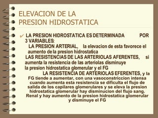 ELEVACION DE LA  PRESION HIDROSTATICA LA PRESION HIDROSTATICA ES DETERMINADA  POR 3 VARIABLES:  LA PRESION ARTERIAL,  la elevacion de esta favorece el aumento de la presion hidrostatica   LAS RESISTENCIAS DE LAS ARTERIOLAS AFERENTES,  si aumenta la resistencia   de las arteriolas disminuye  la presion hidrostatica glomerular y el FG  LA RESISTENCIA DE ARTERIOLAS EFERENTES,  y la FG tiende a aumentar, con una vasoconstriccion intensa cuando aumenta esta resistencia se dificulta el flujo de salida de los capilares glomerulares y se eleva la presion hidrostatica glomerular hay disminucion del flujo sang. Renal y hay aumento de la presion hidrostatica glomerular y disminuye el FG 