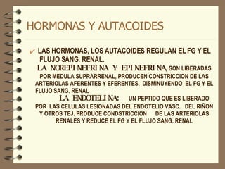 HORMONAS Y AUTACOIDES LAS HORMONAS, LOS AUTACOIDES REGULAN EL FG Y EL FLUJO SANG. RENAL.   LA NOREPINEFRINA Y EPINEFRINA ,   SON LIBERADAS POR MEDULA SUPRARRENAL, PRODUCEN CONSTRICCION DE LAS ARTERIOLAS AFERENTES Y EFERENTES,  DISMINUYENDO  EL FG Y EL FLUJO SANG. RENAL  LA ENDOTELINA:   UN PEPTIDO QUE ES LIBERADO POR  LAS CELULAS LESIONADAS DEL ENDOTELIO VASC.  DEL RIÑON Y OTROS TEJ. PRODUCE CONDSTRICCION  DE LAS ARTERIOLAS RENALES Y REDUCE EL FG Y EL FLUJO SANG. RENAL 