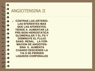 ANGIOTENSINA II CONTRAE LAS ARTERIO-LAS EFERENTES MAS QUE LAS AFERENTES, TIENDE A  AUMENTAR LA PRE-SION HIDROSTATICA GLOMERULAR Y EL FG Y DISMINUYE EL FLUJO SANG. RENAL.  LA FOR-MACION DE ANGIOTEN-SINA  II,  AUMENTA CUANDO DESCIENDE LA T/A O SE PIERDEN LIQUIDOS CORPORALES 
