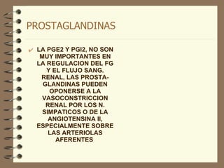 PROSTAGLANDINAS LA PGE2 Y PGI2, NO SON MUY IMPORTANTES EN LA REGULACION DEL FG Y EL FLUJO SANG. RENAL, LAS PROSTA-GLANDINAS PUEDEN OPONERSE A LA VASOCONSTRICCION RENAL POR LOS N. SIMPATICOS O DE LA ANGIOTENSINA II, ESPECIALMENTE SOBRE LAS ARTERIOLAS AFERENTES  
