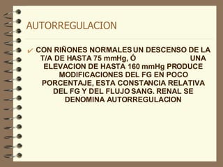 AUTORREGULACION CON RIÑONES NORMALES UN DESCENSO DE LA T/A DE HASTA 75 mmHg, Ó  UNA ELEVACION DE HASTA 160 mmHg PRODUCE MODIFICACIONES DEL FG EN POCO PORCENTAJE, ESTA CONSTANCIA RELATIVA DEL FG Y DEL FLUJO SANG. RENAL SE DENOMINA AUTORREGULACION 
