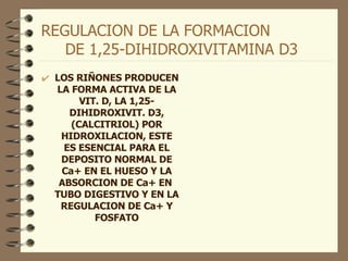 REGULACION DE LA FORMACION  DE 1,25-DIHIDROXIVITAMINA D3 LOS RIÑONES PRODUCEN LA FORMA ACTIVA DE LA VIT. D, LA 1,25-DIHIDROXIVIT. D3, (CALCITRIOL) POR HIDROXILACION, ESTE ES ESENCIAL PARA EL DEPOSITO NORMAL DE Ca+ EN EL HUESO Y LA ABSORCION DE Ca+ EN  TUBO DIGESTIVO Y EN LA REGULACION DE Ca+ Y FOSFATO 