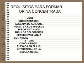 REQUISITOS PARA FORMAR  ORINA CONCENTRADA 1 .- UNA CONCENTRACION ELEVADA DE ADH, QUE PERMITE A LOS TUBULOS DISTALES Y A LOS TUBULOS COLECTORES REABSORVER  AGUA CON AVIDEZ  2 .- UNA  OSMOLARIDAD  ELEVADA EN EL LIQ. INTERSTICIAL DE LA MEDULA RENAL 