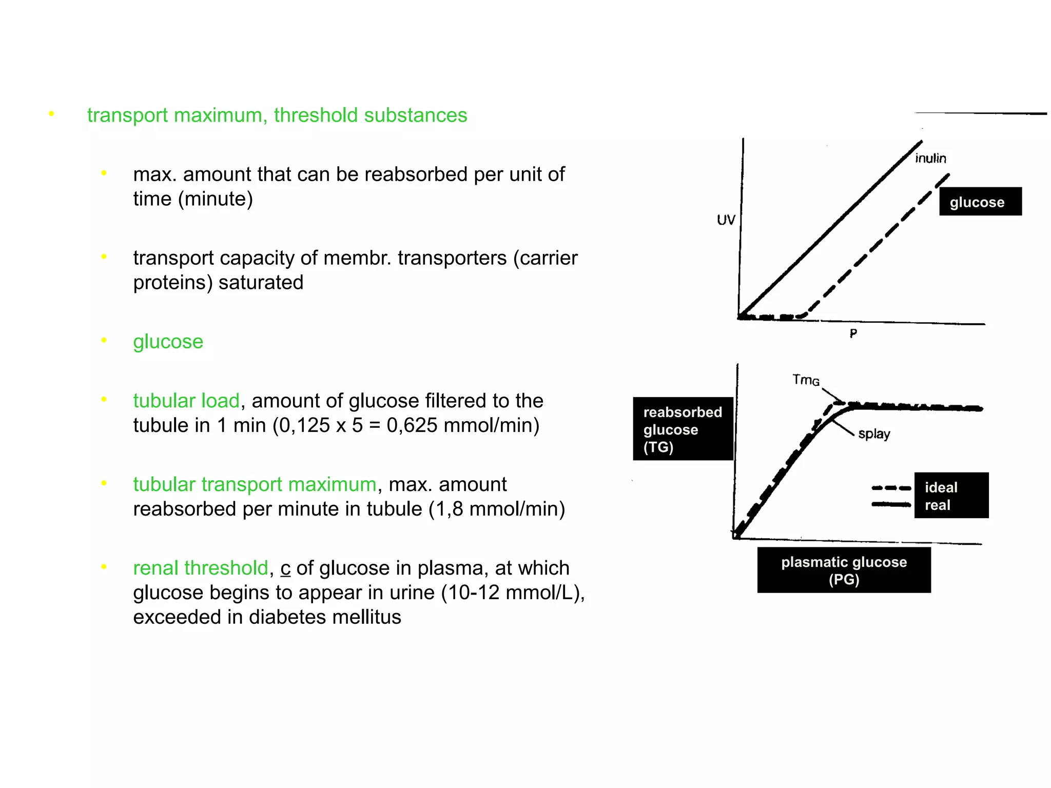 • transport maximum, threshold substances
• max. amount that can be reabsorbed per unit of
time (minute)
• transport capacity of membr. transporters (carrier
proteins) saturated
• glucose
• tubular load, amount of glucose filtered to the
tubule in 1 min (0,125 x 5 = 0,625 mmol/min)
• tubular transport maximum, max. amount
reabsorbed per minute in tubule (1,8 mmol/min)
• renal threshold, c of glucose in plasma, at which
glucose begins to appear in urine (10-12 mmol/L),
exceeded in diabetes mellitus
reabsorbed
glucose
(TG)
ideal
real
plasmatic glucose
(PG)
glucose
 