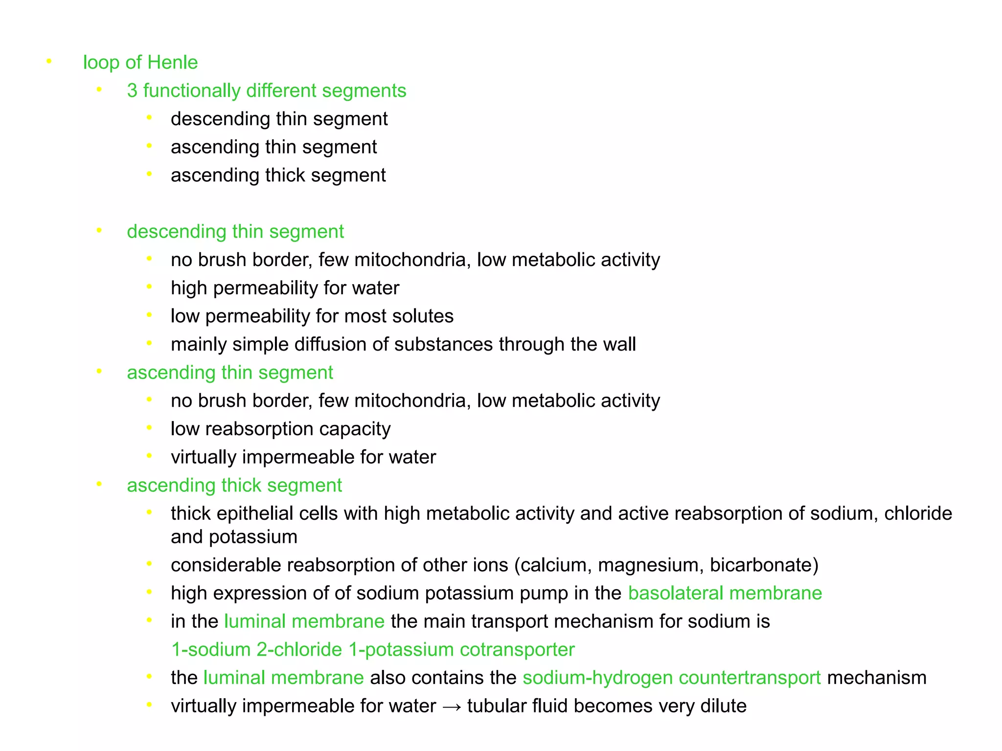 • loop of Henle
• 3 functionally different segments
• descending thin segment
• ascending thin segment
• ascending thick segment
• descending thin segment
• no brush border, few mitochondria, low metabolic activity
• high permeability for water
• low permeability for most solutes
• mainly simple diffusion of substances through the wall
• ascending thin segment
• no brush border, few mitochondria, low metabolic activity
• low reabsorption capacity
• virtually impermeable for water
• ascending thick segment
• thick epithelial cells with high metabolic activity and active reabsorption of sodium, chloride
and potassium
• considerable reabsorption of other ions (calcium, magnesium, bicarbonate)
• high expression of of sodium potassium pump in the basolateral membrane
• in the luminal membrane the main transport mechanism for sodium is
1-sodium 2-chloride 1-potassium cotransporter
• the luminal membrane also contains the sodium-hydrogen countertransport mechanism
• virtually impermeable for water → tubular fluid becomes very dilute
 