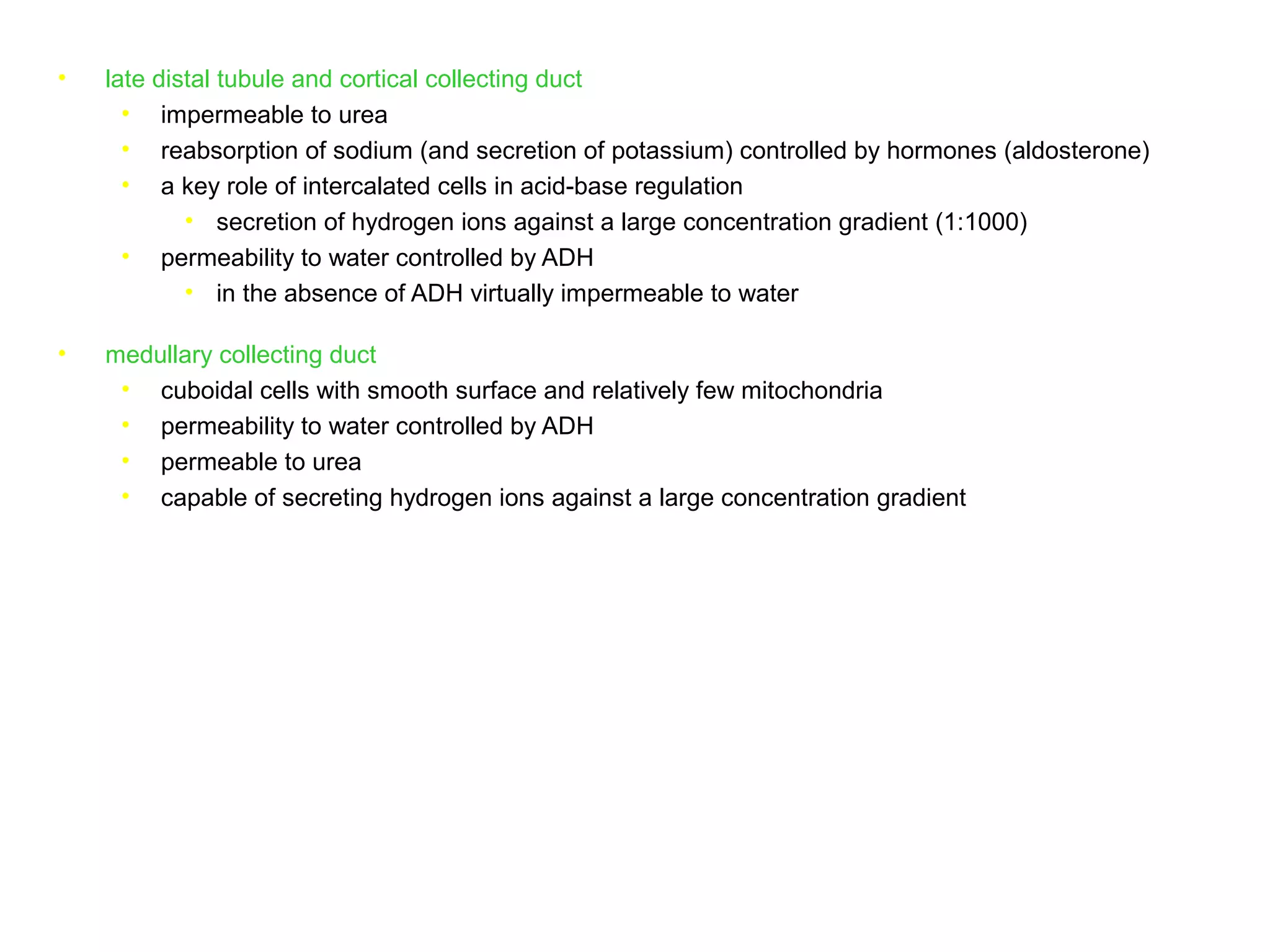 • late distal tubule and cortical collecting duct
• impermeable to urea
• reabsorption of sodium (and secretion of potassium) controlled by hormones (aldosterone)
• a key role of intercalated cells in acid-base regulation
• secretion of hydrogen ions against a large concentration gradient (1:1000)
• permeability to water controlled by ADH
• in the absence of ADH virtually impermeable to water
• medullary collecting duct
• cuboidal cells with smooth surface and relatively few mitochondria
• permeability to water controlled by ADH
• permeable to urea
• capable of secreting hydrogen ions against a large concentration gradient
 