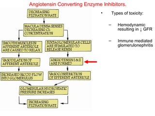 Angiotensin Converting Enzyme Inhibitors.
                              •       Types of toxicity:

                                  –      Hemodynamic
                                         resulting in ↓ GFR

                                  –      Immune mediated
                                         glomerulonephritis
 