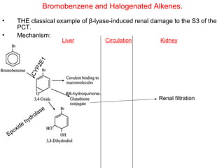 Bromobenzene and Halogenated Alkenes.
•      THE classical example of β-lyase-induced renal damage to the S3 of the
       PCT.
•      Mechanism:
                   E1     Liver               Circulation   Kidney
                 P2
               CY




                           BB-hydroquinone-
                                                            Renal filtration
                      e
                   las
                 ro
              hyd
          e
      oxid
    Ep
 