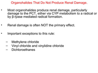 Organohalides That Do Not Produce Renal Damage.

•   Most organohalides produce renal damage, particularly
    damage to the PCT, either via CYP metabolism to a radical or
    by β-lyase mediated radical formation.

•   Renal damage is often NOT the primary effect.

•   Important exceptions to this rule:

    –   Methylene chloride
    –   Vinyl chloride and vinylidine chloride
    –   Dichloroethanes
 