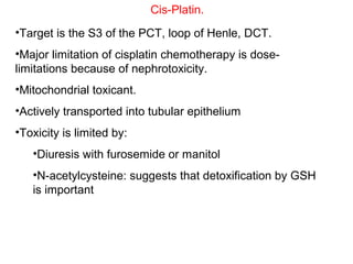 Cis-Platin.
•Target is the S3 of the PCT, loop of Henle, DCT.
•Major limitation of cisplatin chemotherapy is dose-
limitations because of nephrotoxicity.
•Mitochondrial toxicant.
•Actively transported into tubular epithelium
•Toxicity is limited by:
   •Diuresis with furosemide or manitol
   •N-acetylcysteine: suggests that detoxification by GSH
   is important
 
