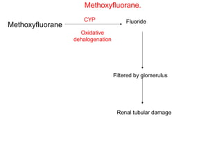Methoxyfluorane.
                     CYP                Fluoride
Methoxyfluorane
                    Oxidative
                  dehalogenation




                                   Filtered by glomerulus




                                    Renal tubular damage
 
