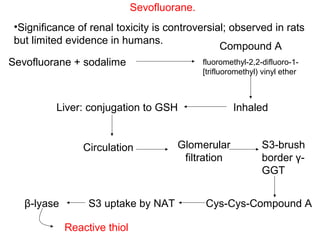 Sevofluorane.
 •Significance of renal toxicity is controversial; observed in rats
 but limited evidence in humans.
                                                 Compound A
Sevofluorane + sodalime                     fluoromethyl-2,2-difluoro-1-
                                               [trifluoromethyl) vinyl ether



           Liver: conjugation to GSH                    Inhaled


                  Circulation            Glomerular              S3-brush
                                          filtration             border γ-
                                                                 GGT


   β-lyase         S3 uptake by NAT            Cys-Cys-Compound A

             Reactive thiol
 
