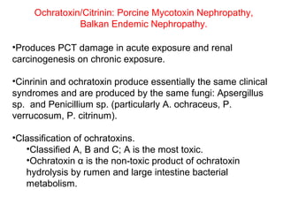 Ochratoxin/Citrinin: Porcine Mycotoxin Nephropathy,
               Balkan Endemic Nephropathy.

•Produces PCT damage in acute exposure and renal
carcinogenesis on chronic exposure.

•Cinrinin and ochratoxin produce essentially the same clinical
syndromes and are produced by the same fungi: Apsergillus
sp. and Penicillium sp. (particularly A. ochraceus, P.
verrucosum, P. citrinum).

•Classification of ochratoxins.
   •Classified A, B and C; A is the most toxic.
   •Ochratoxin α is the non-toxic product of ochratoxin
   hydrolysis by rumen and large intestine bacterial
   metabolism.
 