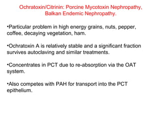 Ochratoxin/Citrinin: Porcine Mycotoxin Nephropathy,
               Balkan Endemic Nephropathy.

•Particular problem in high energy grains, nuts, pepper,
coffee, decaying vegetation, ham.

•Ochratoxin A is relatively stable and a significant fraction
survives autoclaving and similar treatments.

•Concentrates in PCT due to re-absorption via the OAT
system.

•Also competes with PAH for transport into the PCT
epithelium.
 