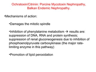 Ochratoxin/Citrinin: Porcine Mycotoxin Nephropathy,
               Balkan Endemic Nephropathy.

•Mechanisms of action:

   •Damages the mitotic spindle

   •Inhibition of phenylalanine metabolism  results are:
   suppression of DNA, RNA and protein synthesis;
   suppression of renal gluconeogenesis due to inhibition of
   phosphoenolpyruvate carboxykinase (the major rate-
   limiting enzyme in this pathway)

   •Promotion of lipid peroxidation
 