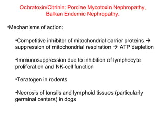 Ochratoxin/Citrinin: Porcine Mycotoxin Nephropathy,
               Balkan Endemic Nephropathy.

•Mechanisms of action:

   •Competitive inhibitor of mitochondrial carrier proteins 
   suppression of mitochondrial respiration  ATP depletion

   •Immunosuppression due to inhibition of lymphocyte
   proliferation and NK-cell function

   •Teratogen in rodents

   •Necrosis of tonsils and lymphoid tissues (particularly
   germinal centers) in dogs
 