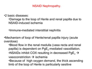 NSAID Nephropathy.


•2 basic diseases:
    •Damage to the loop of Henle and renal papilla due to
    NSAID-induced ischemia

   •Immune-mediated interstitial nephritis

•Mechanism of loop of Henle/renal papilla injury (acute
overdose)
   •Blood flow in the renal medulla (vasa recta and renal
   papilla) is dependent on PgE2-mediated vasodilation.
   •NSAIDs inhibit COX resulting in decreased PgE2 
   vasoconstriction  ischemia
   •Because of high oxygen demand, the thick ascending
   limb of the loop of Henle is particularly sesitive
 