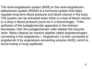 The renin-angiotensin system (RAS) or the renin-angiotensin-
aldosterone system (RAAS) is a hormone system that helps
regulate long-term blood pressure and blood volume in the body.
The system can be activated when there is a loss of blood volume
or a drop in blood pressure (such as in a hemorrhage). If the
perfusion of the juxtaglomerular apparatus in the kidneys
decreases, then the juxtaglomerular cells release the enzyme
renin. Renin cleaves an inactive peptide called angiotensinogen,
converting it into angiotensin I. Angiotensin I is then converted to
angiotensin II by angiotensin-converting enzyme (ACE), which is
found mainly in lung capillaries.




                                                               20
 