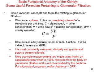 Basic Functional Anatomy of the Kidney:
    Some Useful Formulae Pertaining to Glomerular Filtration.

•       Some important concepts and formulae relating to glomerular
        filtration:
      –      Clearance: volume of plasma completely cleared of a
             xenobiotic per unit time. C = clearance; U = urine
             concentration; V = urine flow; P = plasma concentration; U*V =
             urinary excretion



      –   Clearance is a key measurement of renal function. It is an
          indirect measure of GFR.
      –   It is most commonly measured clinically using urine and
          plasma creatinine levels.
      –   More accurate measurements are made using inulin, an
          oligosaccharaide which is 100% removed from the body by
          glomerular filtration and is not re-absorbed by the nephron.
          For all practical purposes, inulin clearance = GFR
                                                                          25
 