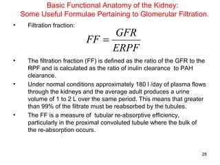 Basic Functional Anatomy of the Kidney:
    Some Useful Formulae Pertaining to Glomerular Filtration.
•     Filtration fraction:
                                  GFR
                             FF =
                                  ERPF
•     The filtration fraction (FF) is defined as the ratio of the GFR to the
      RPF and is calculated as the ratio of inulin clearance to PAH
      clearance.
•     Under normal conditions approximately 180 l /day of plasma flows
      through the kidneys and the average adult produces a urine
      volume of 1 to 2 L over the same period. This means that greater
      than 99% of the filtrate must be reabsorbed by the tubules.
•     The FF is a measure of tubular re-absorptive efficiency,
      particularly in the proximal convoluted tubule where the bulk of
      the re-absorption occurs.


                                                                          28
 