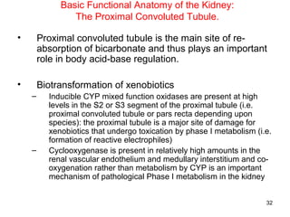 Basic Functional Anatomy of the Kidney:
                The Proximal Convoluted Tubule.

•       Proximal convoluted tubule is the main site of re-
        absorption of bicarbonate and thus plays an important
        role in body acid-base regulation.

•       Biotransformation of xenobiotics
    –     Inducible CYP mixed function oxidases are present at high
          levels in the S2 or S3 segment of the proximal tubule (i.e.
          proximal convoluted tubule or pars recta depending upon
          species): the proximal tubule is a major site of damage for
          xenobiotics that undergo toxication by phase I metabolism (i.e.
          formation of reactive electrophiles)
    –     Cyclooxygenase is present in relatively high amounts in the
          renal vascular endothelium and medullary interstitium and co-
          oxygenation rather than metabolism by CYP is an important
          mechanism of pathological Phase I metabolism in the kidney


                                                                       32
 