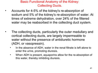 Basic Functional Anatomy of the Kidney:
                         Collecting Ducts.
•       Accounts for 4-5% of the kidney's re-absorption of
        sodium and 5% of the kidney's re-absorption of water. At
        times of extreme dehydration, over 24% of the filtered
        water may be reabsorbed in the collecting duct system.

•       The collecting ducts, particularly the outer medullary and
        cortical collecting ducts, are largely impermeable to
        water without the presence of antidiuretic hormone
        (ADH, or vasopressin).
    •     In the absence of ADH, water in the renal filtrate is left alone to
          enter the urine, promoting diuresis.
    •     When ADH is present, aquaporins allow for the re-absorption of
          this water, thereby inhibiting diuresis.


                                                                           41
 
