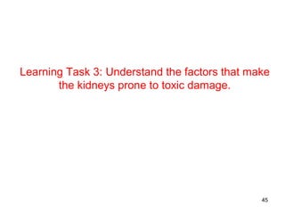 Learning Task 3: Understand the factors that make
       the kidneys prone to toxic damage.




                                               45
 